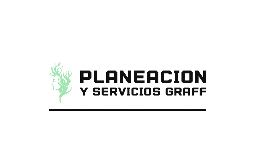 Planeacion Y Servicios Graff S De R.L. De C.V.